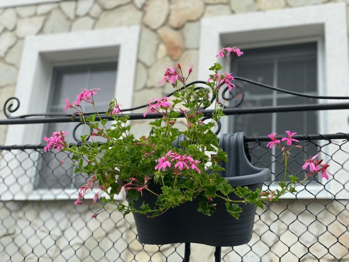 Tokajsky Domcek Apartment Mala Trna Екстериор снимка