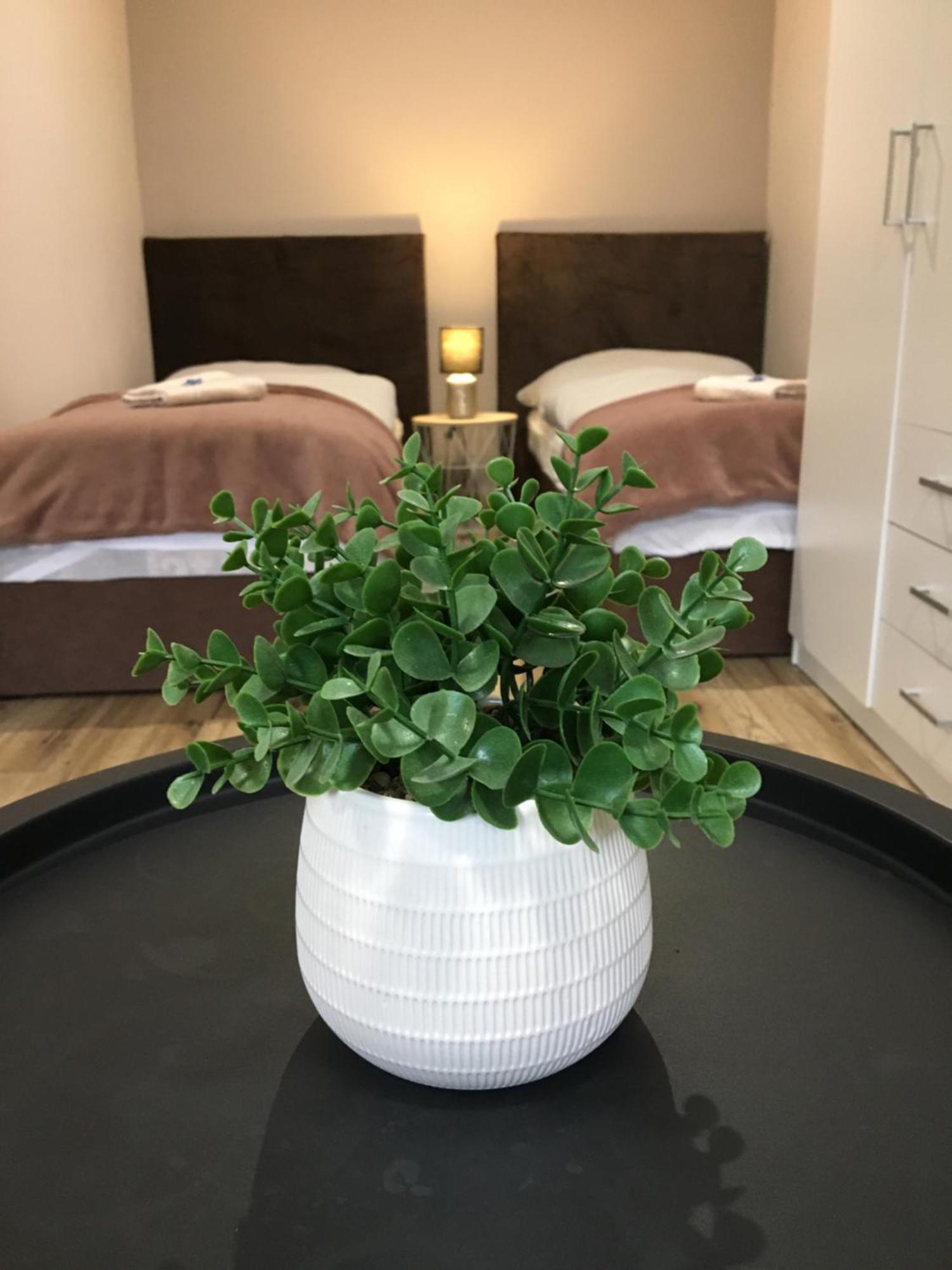 Tokajsky Domcek Apartment Mala Trna Екстериор снимка